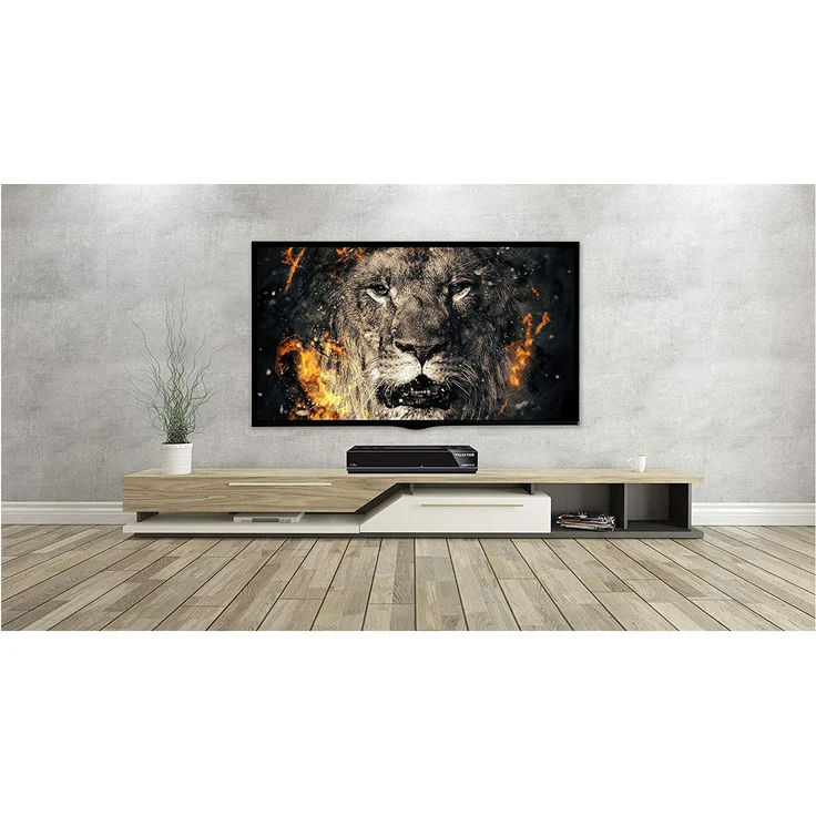 Telestar digiHD TS 10 HDTV-Satelliten Receiver DVB-S, DVB-S2, HDMI, Scart, USB schwarz – Bild 4