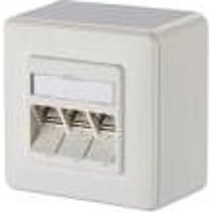 BTR NETCOM 130B12D30002-E Telefon-/Antennen-/Steckdose (130B12D30002-E)