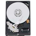 Western Digital Caviar GreenPower 1 TB 8,9 cm (3,5 Zoll) interne Festplatte SATA II 7200RPM 16 MB Cache