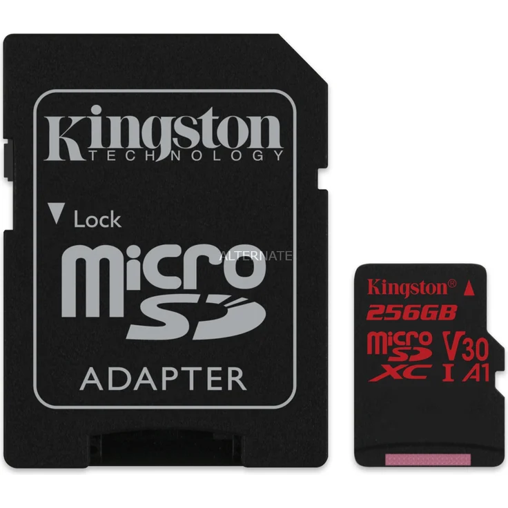 Kingston SDCR-256GB SD Class 10 Speicherkarte – Bild 1