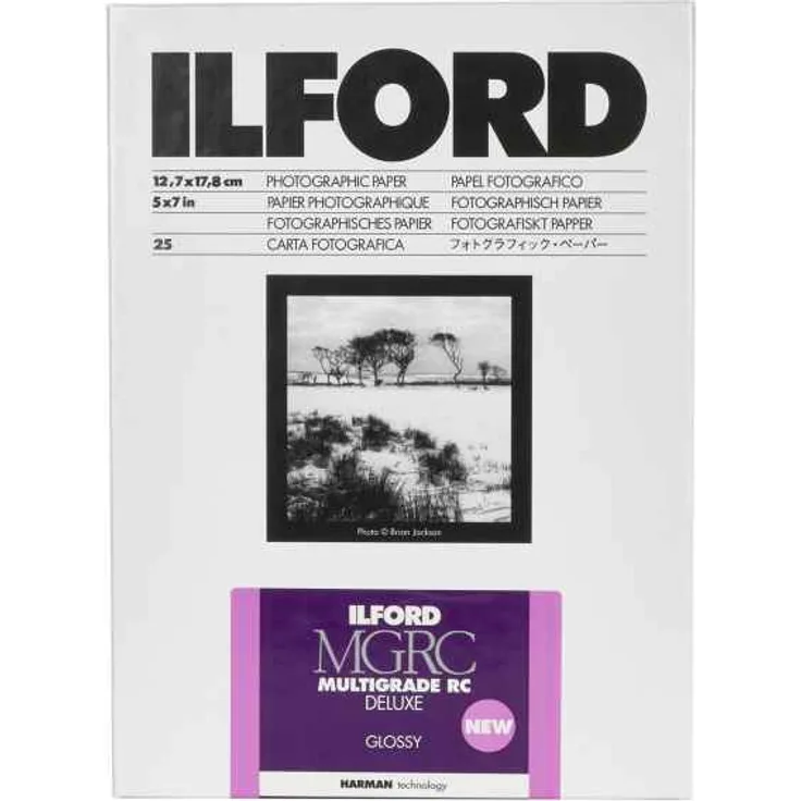 1x 25 Ilford MG RC DL 1M 13x18