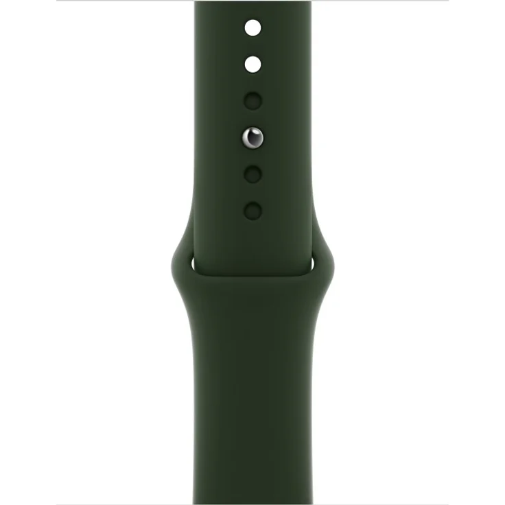Apple Watch Series 6 Smartwatch GPS + Cellular, 40mm, Edelstahlgehäuse Gold, Sportarmband Zyperngrün – Bild 3
