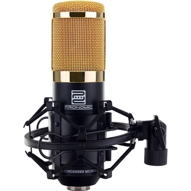 Pronomic CM-100BG Studio Großmembranmikrofon XLR-Kondensatormikrofon (mit Mikrofonspinne, Etui, Windschutz, Reduziergewinde) schwarz