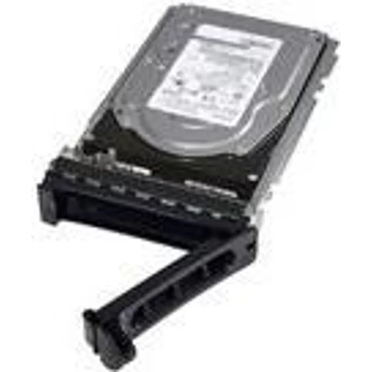 Dell - Customer Kit - Festplatte - 1.2 TB - Hot-Swap - 2.5 (6.4 cm) - SAS 12Gb/s - 10000 U/min - für PowerEdge R320, R420, R620, R720, R820, R920, R930, T320, T420, PowerVault MD3220, MD3420