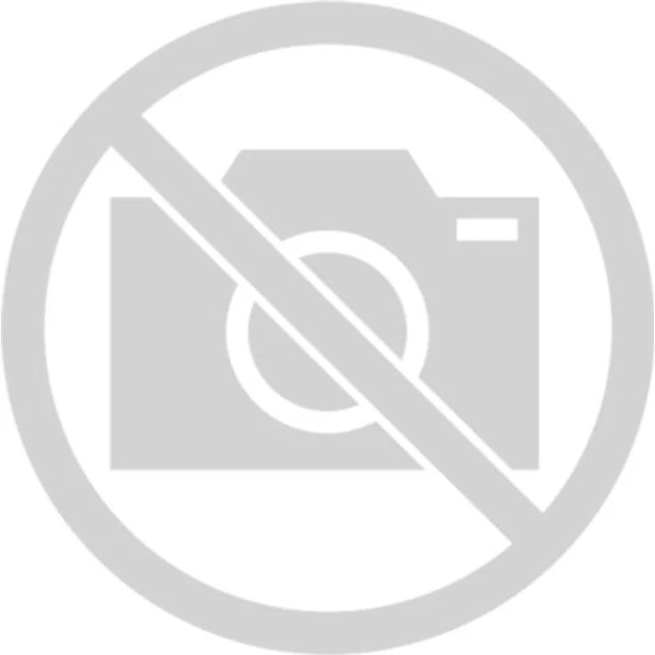 Satechi USB Type-A zu Type-C-Adapter Space Gray