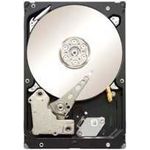 Seagate ST2000NM0011 Constellation ES 2 TB