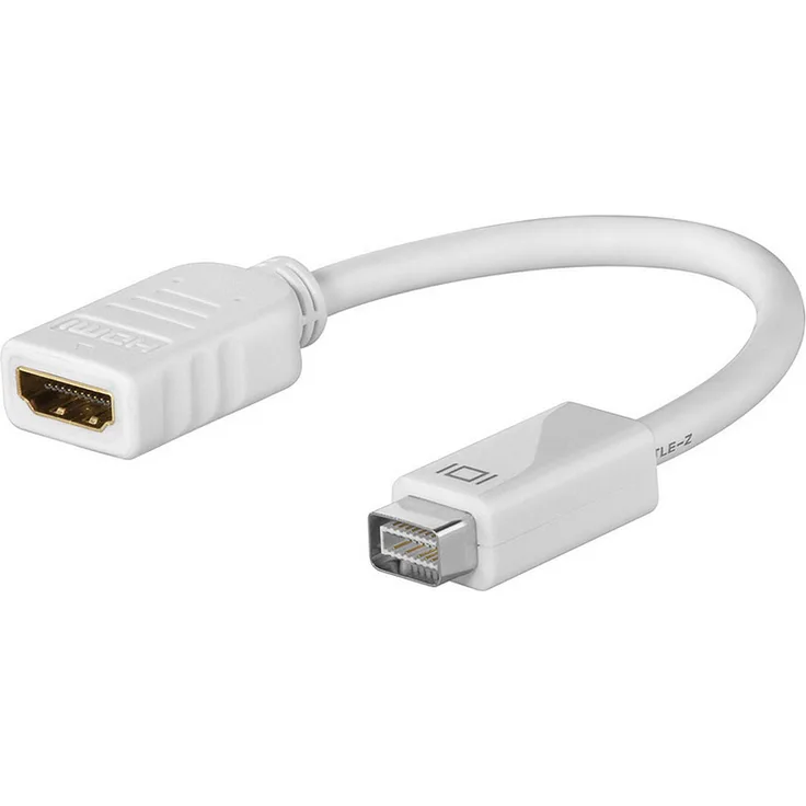 Wentronic Mini DVI Adapter