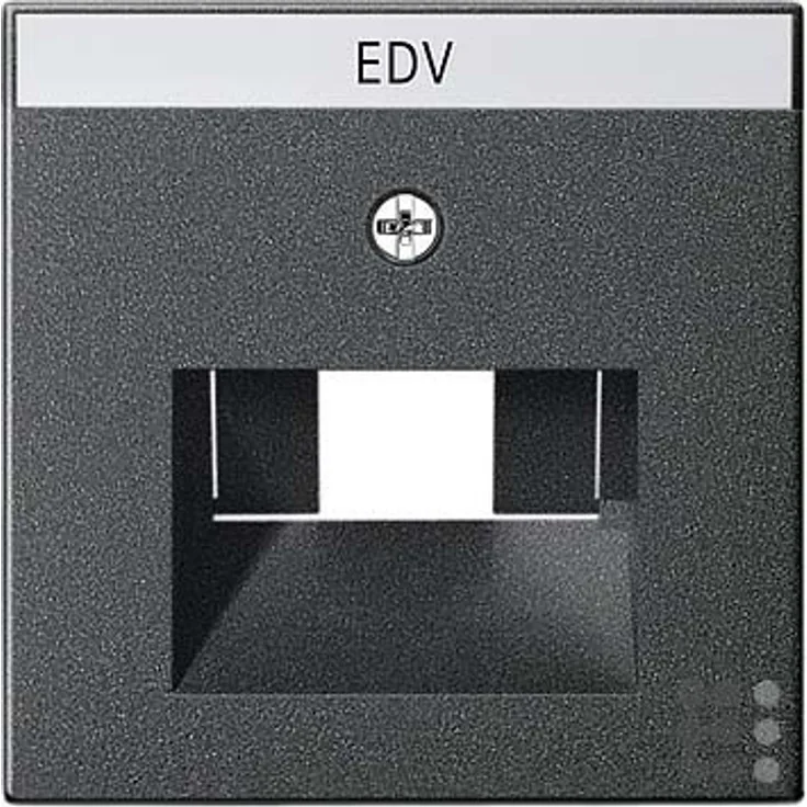 Gira 028428 Abdeckung Beschriftungsfeld UAE IAE ISDN System 55 , anthrazit