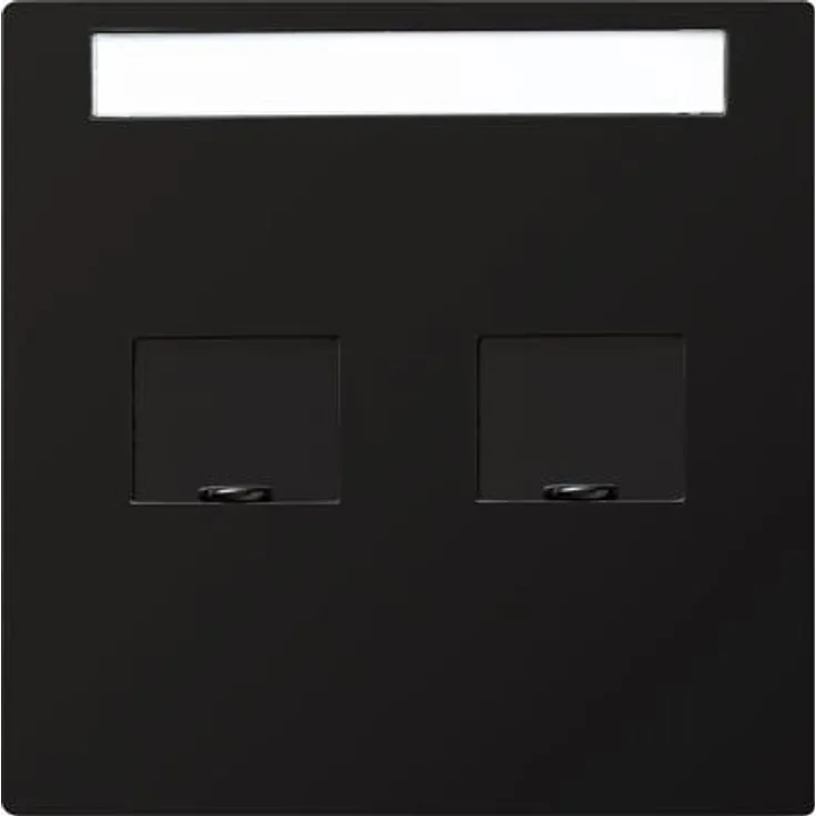Abdeckung für Modular Jack-Western Technik, 2fach, mit Beschriftungsfeld und Verschlussschiebern, Schwarz, S-Color, Gira 066347