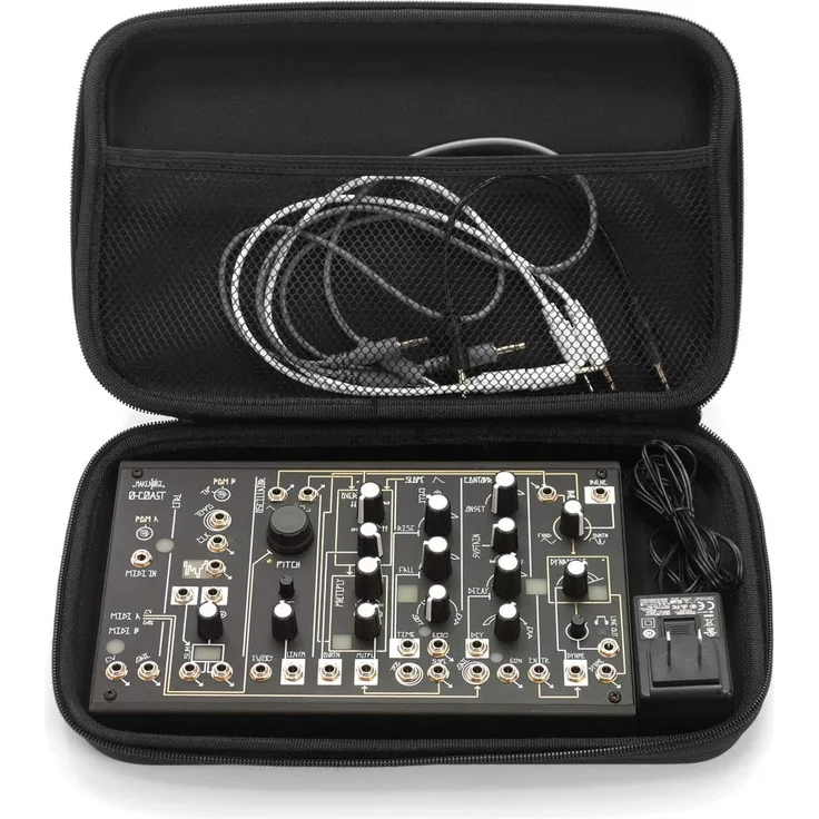 Analog Cases PULSE Case für MakeNoise 0-Coast oder ähnliche Geräte (Transporttasche aus langlebigem, geformtem EVA-Nylon, mit robustem Gummitragegriff), Schwarz