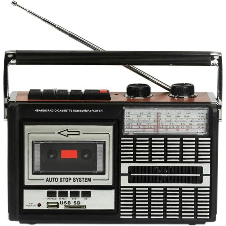 Ricatech PR85 – Bild 1