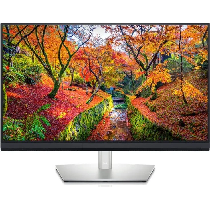 Dell UltraSharp UP3221Q - 31,5 Zoll, 4K UHD (3840 x 2160), IPS-Panel, 60Hz, 6ms, 1000cd/m² (210-AXVH)