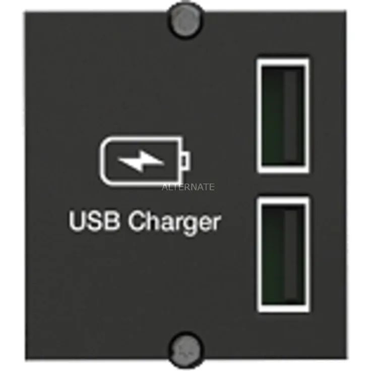 Bachmann 917.224 Custom Module USB Charger