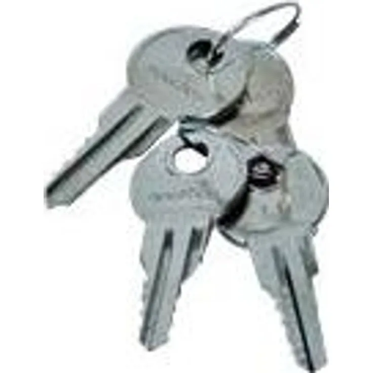 Triton RAX-MS-X10-X1 Ersatzschlüssel für 48,26 cm (19 Zoll) Netzwerkschrank Delta S-RMA schwarz