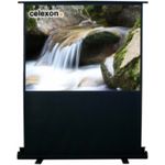 celexon Mobile Business- und Heimkino-Beamer-Leinwand Ultramobil Plus Professional tragbar mit Scherengelenk - 120 x 68 cm - 16:9 - Gain 1,2