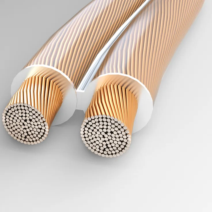 RCA LS-Kabel - Lautsprecherkabel, Boxenkabel für Hifi/Audio - 2x2,5mm² 10m transparent 10m