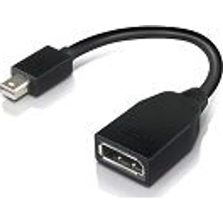 LENOVO Mini-DisplayPort auf DisplayPort-Adapter