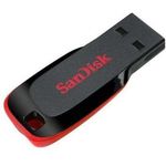 SanDisk 32GB Cruzer Blade USB Flash Drive