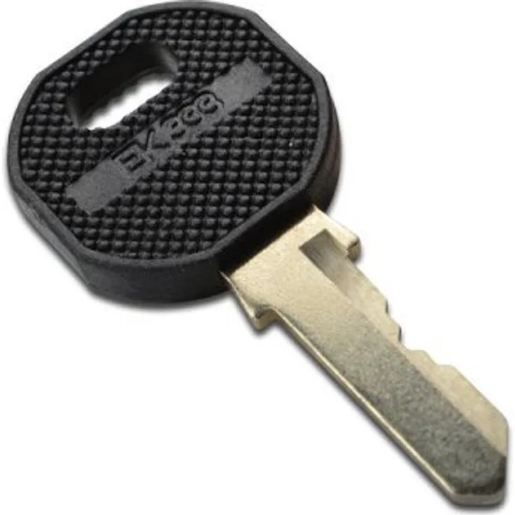 DIGITUS Professional DN-19 KEY-EK333 Schlüssel für DN-19 PHS
