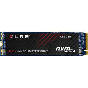 Bild für PNY CS3030