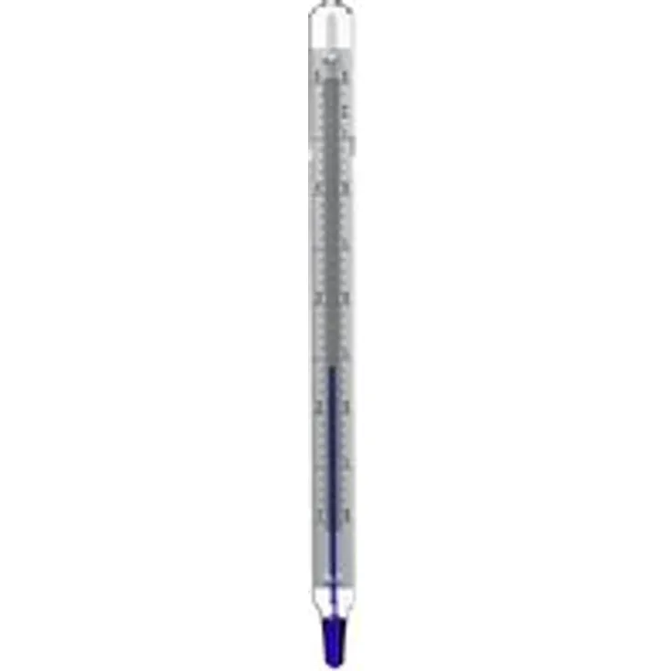 Kaiser Fototechnik Precision Thermometer - Digitale Fieberthermometer