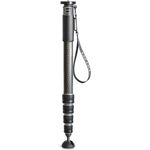 Gitzo Monopod Series 4 Carbon 5 sections Long GM4552L