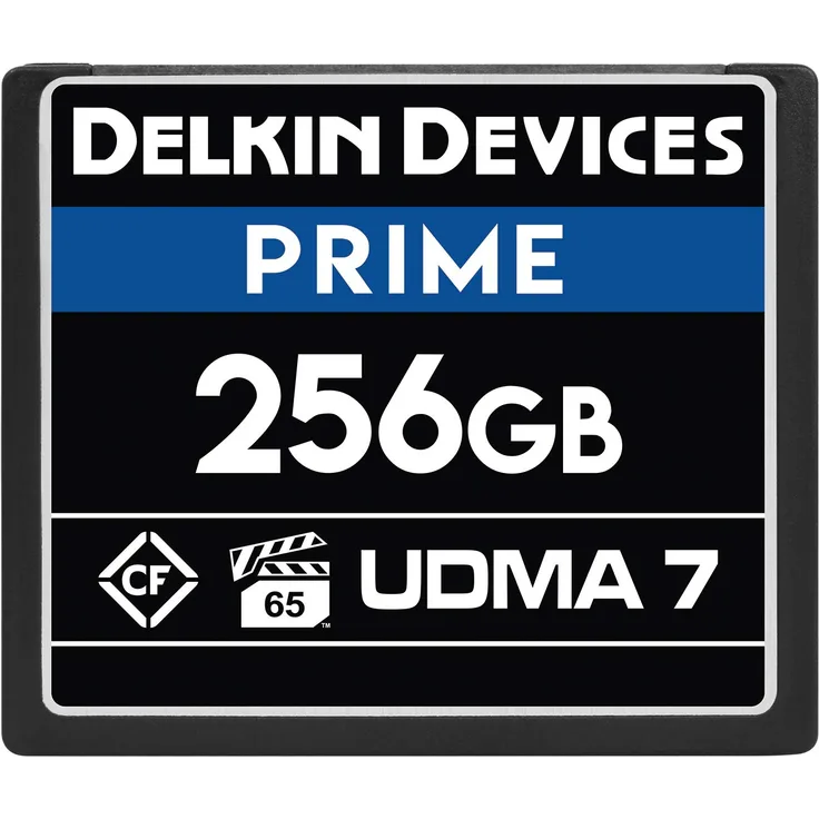 Delkin DDCFB1050256 Compact Flash Speicherkarte, 256 GB, 1050x