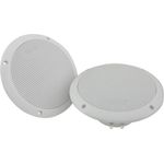 wasserdichte Lautsprecher 100W , 8ohms , White White 100w max Einbau-Lautsprecher - 80 Watt