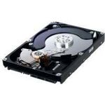 Samsung HD103SJ Spinpoint F3 1 TB