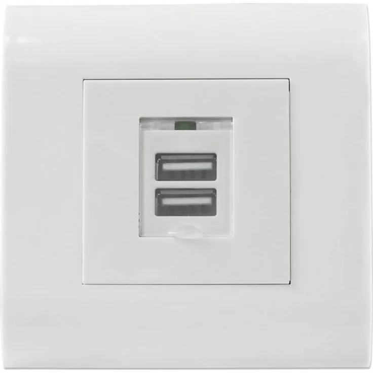 Intellinet - Ausgang - oberflächenbündig montierbar - USB X 2 - mit Safety Cover (772211)