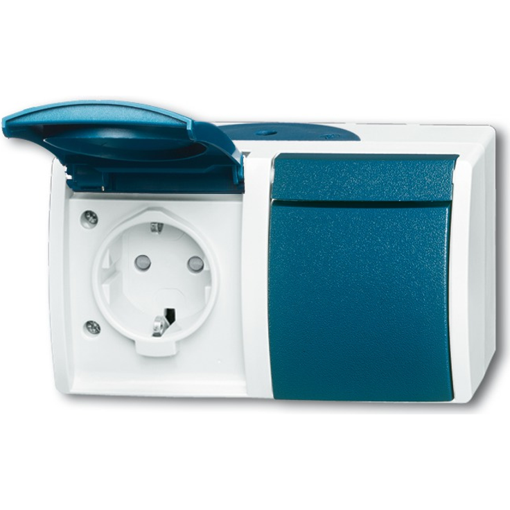 Busch-Jaeger BUSC 20-2 EBW-53 2fach waagerecht Ocean Schuko Steckdose