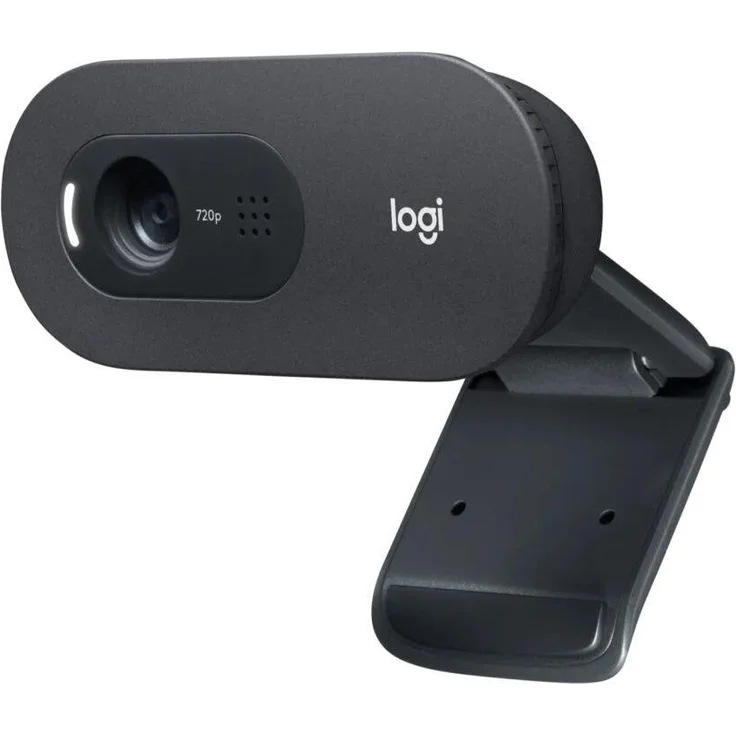 Logitech C505 HD Webcam - 720p externe USB Kamera für den Computer-Bildschirm mit Langstreckenmikrofon - Kompatibel mit PC, Mac und Chromebook - Grau (960-001364) – Bild 3