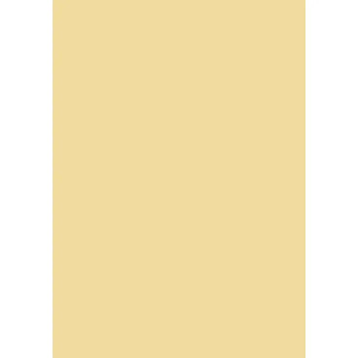 Brunnen 105123514 Universalpapier, A4, 35 Blatt, 120 g-m², honig
