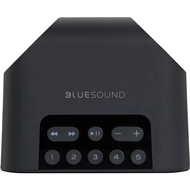 Bluesound Pulse FLEX 2I Multiroom-Lautsprecher mit Alexa, Webradio, geeignet für Indoor, Outdoor, schwarz – Bild 6