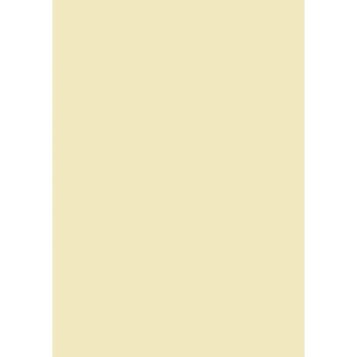 Brunnen 105123511 Universalpapier, A4, 35 Blatt, 120 g-m², chamois