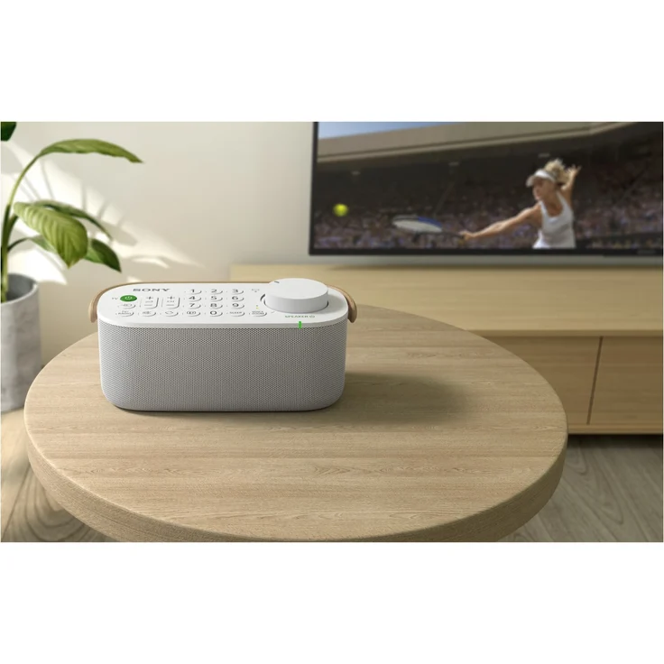 Sony SRS-LSR200 TV-Lautsprecher weiß – Bild 6