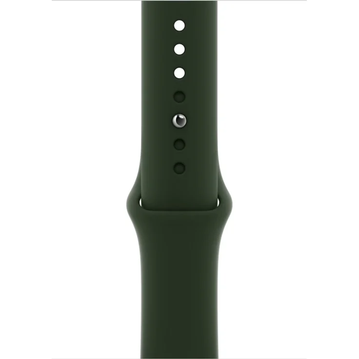 Apple Watch Series 6 Smartwatch GPS + Cellular, 44mm, Edelstahlgehäuse Gold, Sportarmband Zyperngrün – Bild 3