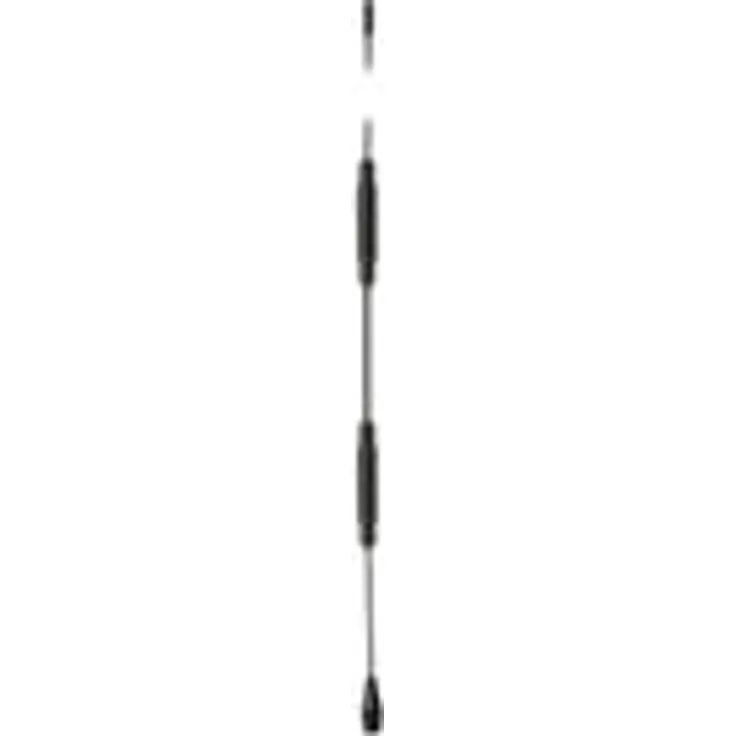 DeLOCK - Antenne - Peitschen-Antenne - 2.5 dBi - ungerichtet - Innen / Außen