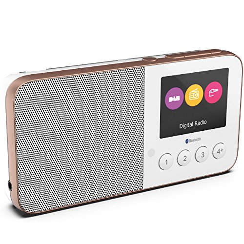 Pure Move T4 Bluetooth Taschenradio (DABDAB+ Digital und UKWRadio mit