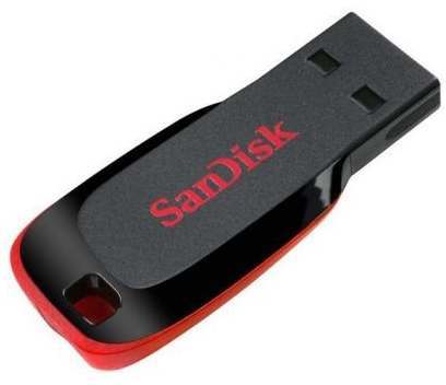 SanDisk 32GB Cruzer Blade USB Flash Drive