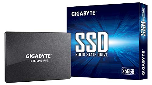 Gigabyte - Solid-State-Disk - 256 GB - intern - 2.5 Zoll (6.4 cm) - SATA 6Gb/s (GP-GSTFS31256GTND)