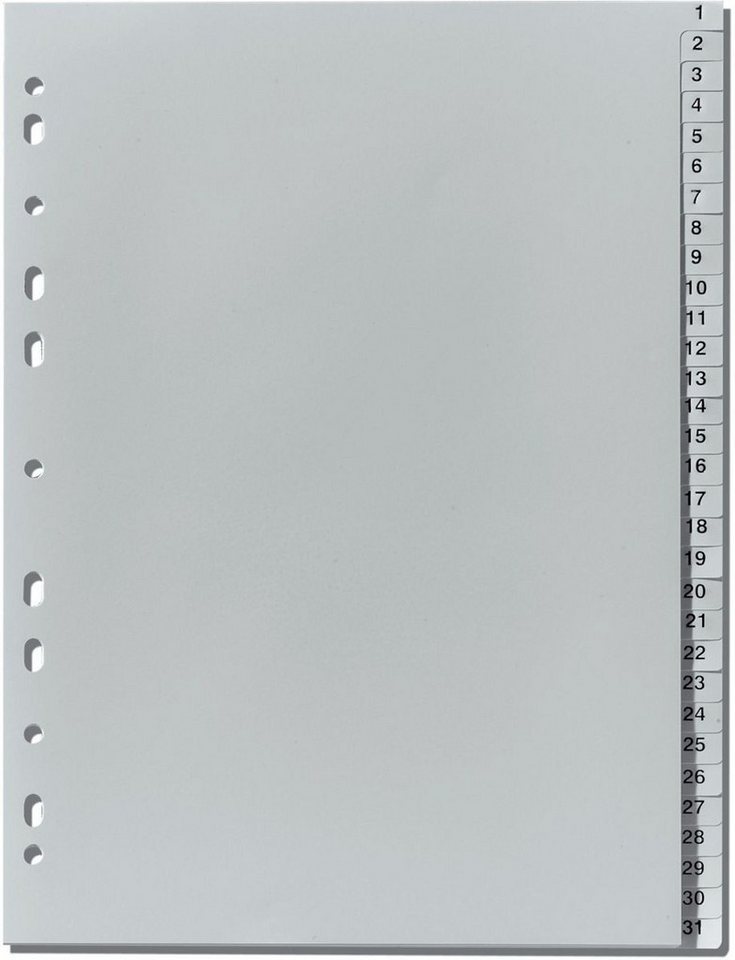 Herlitz Aktenordner Register A4 1-31 Kunststoff PP grau, Eurolochung, geeignet für A4, 31 Blätter