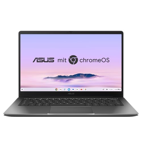 ASUS Chromebook Plus CX14 CX1405CTA, 14" FHD IPS Display, Intel Core 3-N355, 8GB RAM, 128GB eMMC, ChromeOS, QWERTZ, Rock Grey