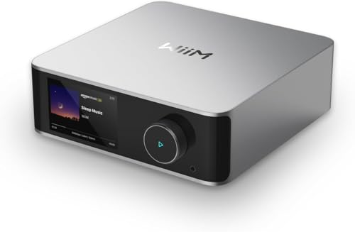 WiiM Ultra Audio Streamer, 32-bit/384kHz DAC, WiFi 6E & Bluetooth 5.3, silber