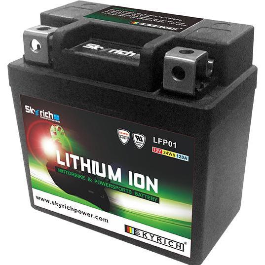 Skyrich LFP01, Fahrzeugbatterie 12 V mit Lithium-Technologie und optimaler Ladespannung