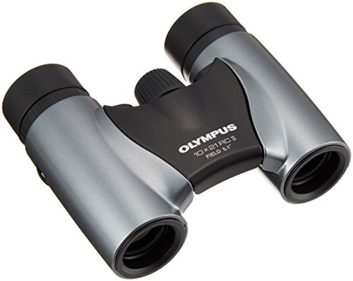 Olympus 10x21 RC II Fernglas mit Tasche silber - Preisvergleich