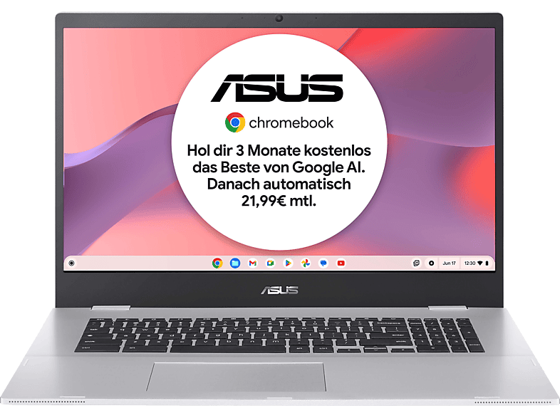 ASUS Chromebook CX1700CKA-AU0101, 17,3 Zoll Laptop mit Intel® Celeron® N4500, 8 GB RAM, 128 GB eMMC, UHD Graphics, Silber, Google ChromeOS
