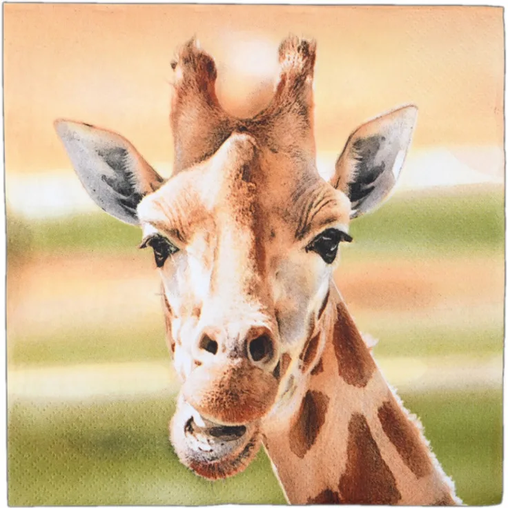 servietten Giraffe 33 cm Papier braun 3-lagig