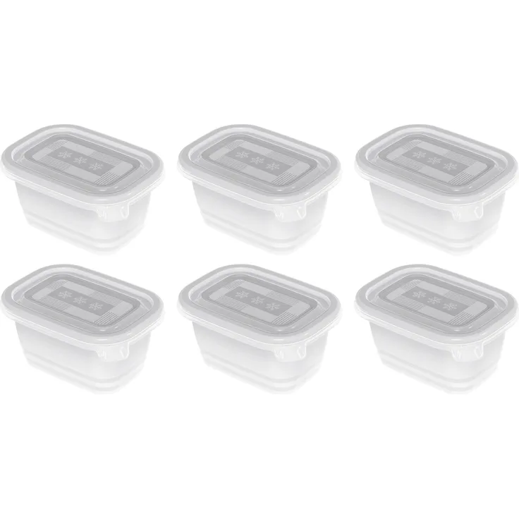 Rotho Gefrierdose Freeze 0,25l (6er Pack)