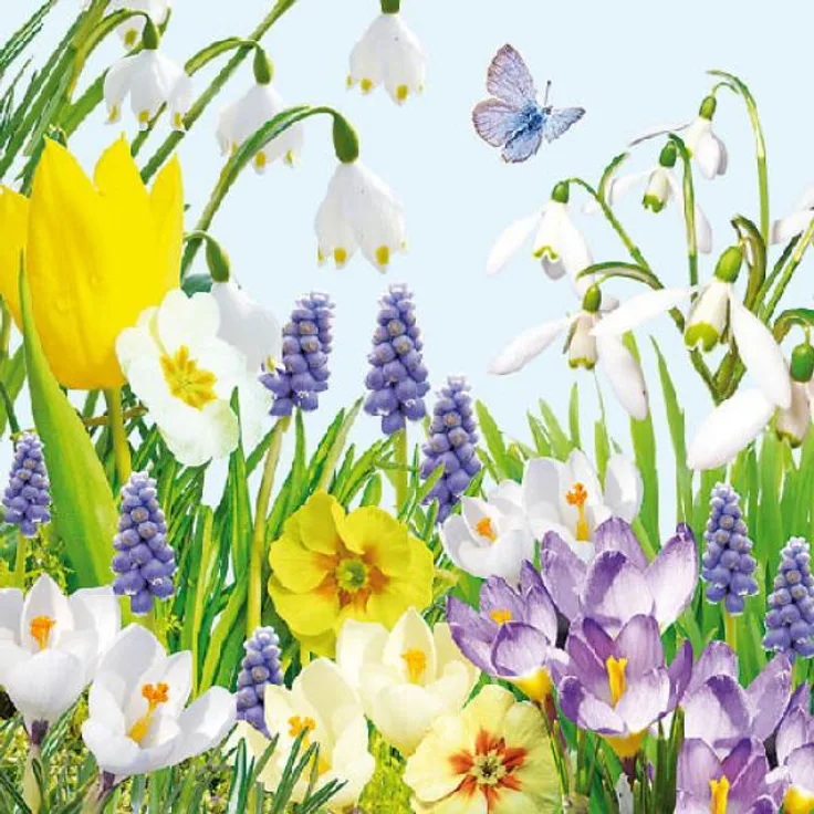 20 Servietten Frühling Schmetterlinge Blumen 33cm